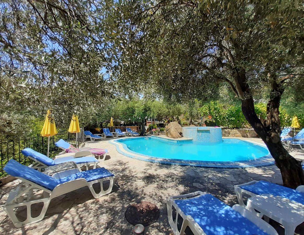 Resort "Maslinjak" Bečići Extérieur photo