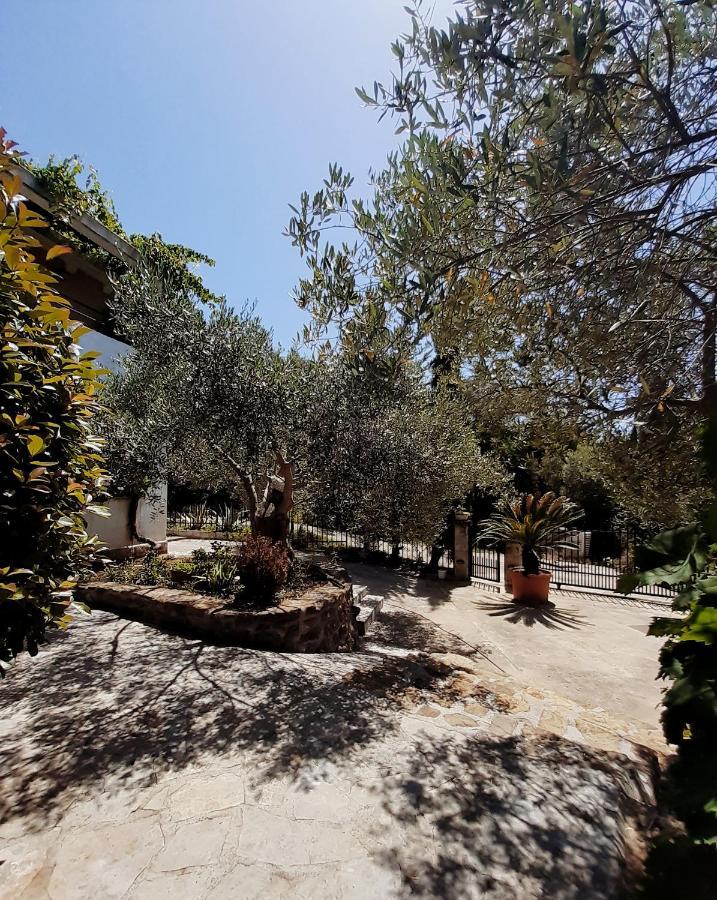 Resort "Maslinjak" Bečići Extérieur photo
