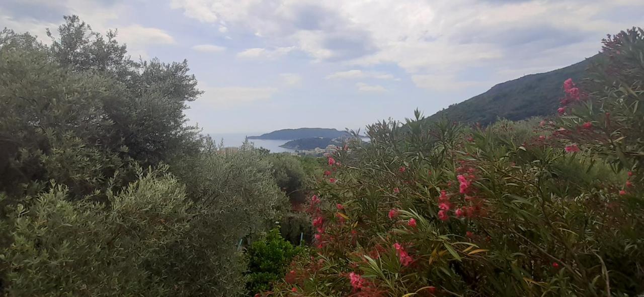 Resort "Maslinjak" Bečići Extérieur photo